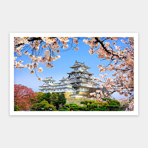 Himeji-jo castle in spring cherry blossoms - 1000 Piece Jigsaw Puzzle