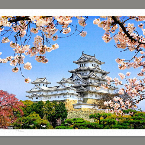 Himeji-jo castle in spring cherry blossoms - 1000 Piece Jigsaw Puzzle