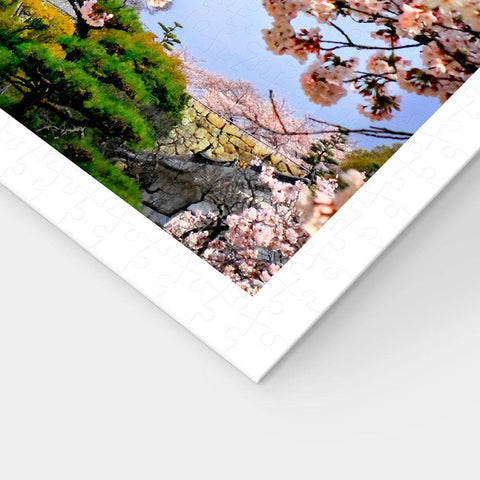 Himeji-jo castle in spring cherry blossoms - 1000 Piece Jigsaw Puzzle