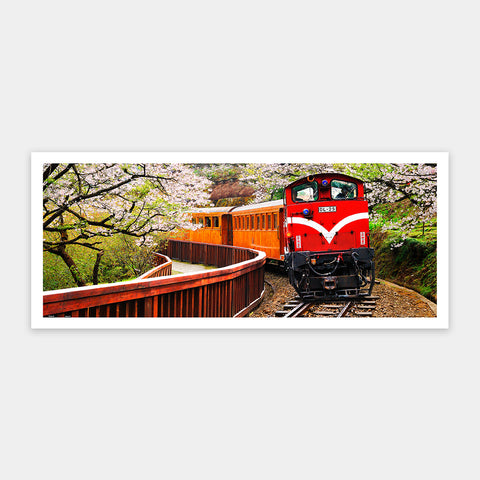 Forest Train in Alishan National Park - 1000 Piece Jigsaw Puzzle