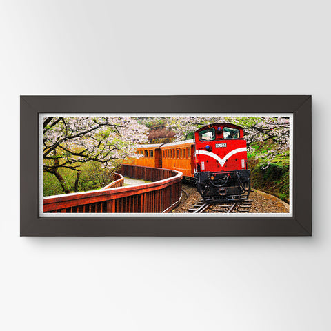 Forest Train in Alishan National Park - 1000 Piece Jigsaw Puzzle