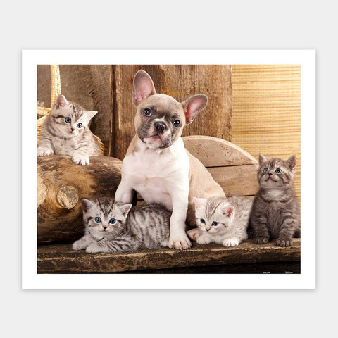 Little Kittens and a dog - 500 Piece Jigsaw Puzzle