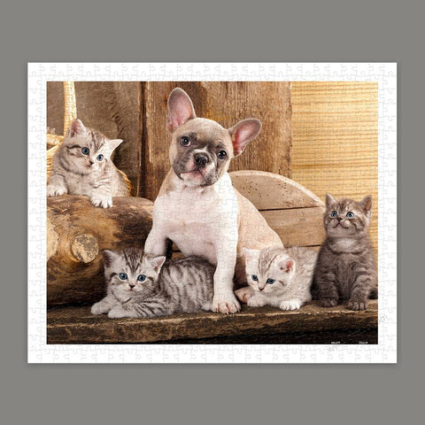 Little Kittens and a dog - 500 Piece Jigsaw Puzzle