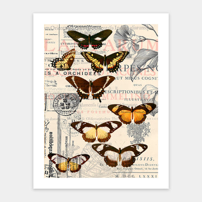 Butterfly Pattern - 300 Piece Jigsaw Puzzle