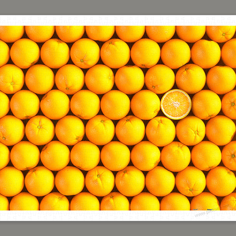 Fruits - Orange - 1000 Piece Jigsaw Puzzle