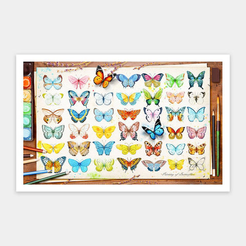 Beautiful Butterflies - 1000 Piece Jigsaw Puzzle