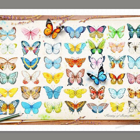 Beautiful Butterflies - 1000 Piece Jigsaw Puzzle