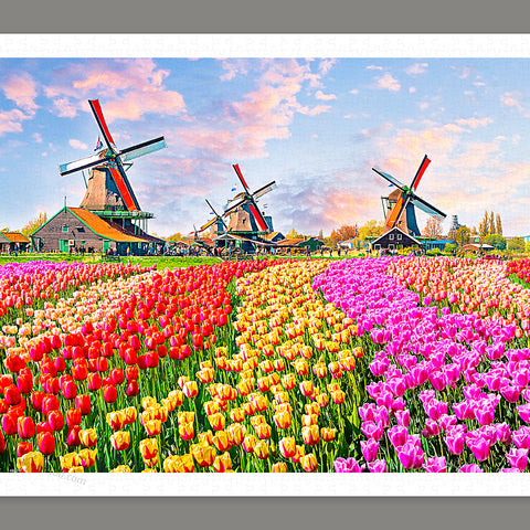 Zaanse Schans, Netherlands - 1000 Piece Jigsaw Puzzle