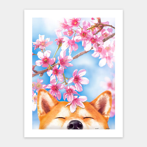 Sakura Shiba - 300 Piece Jigsaw Puzzle