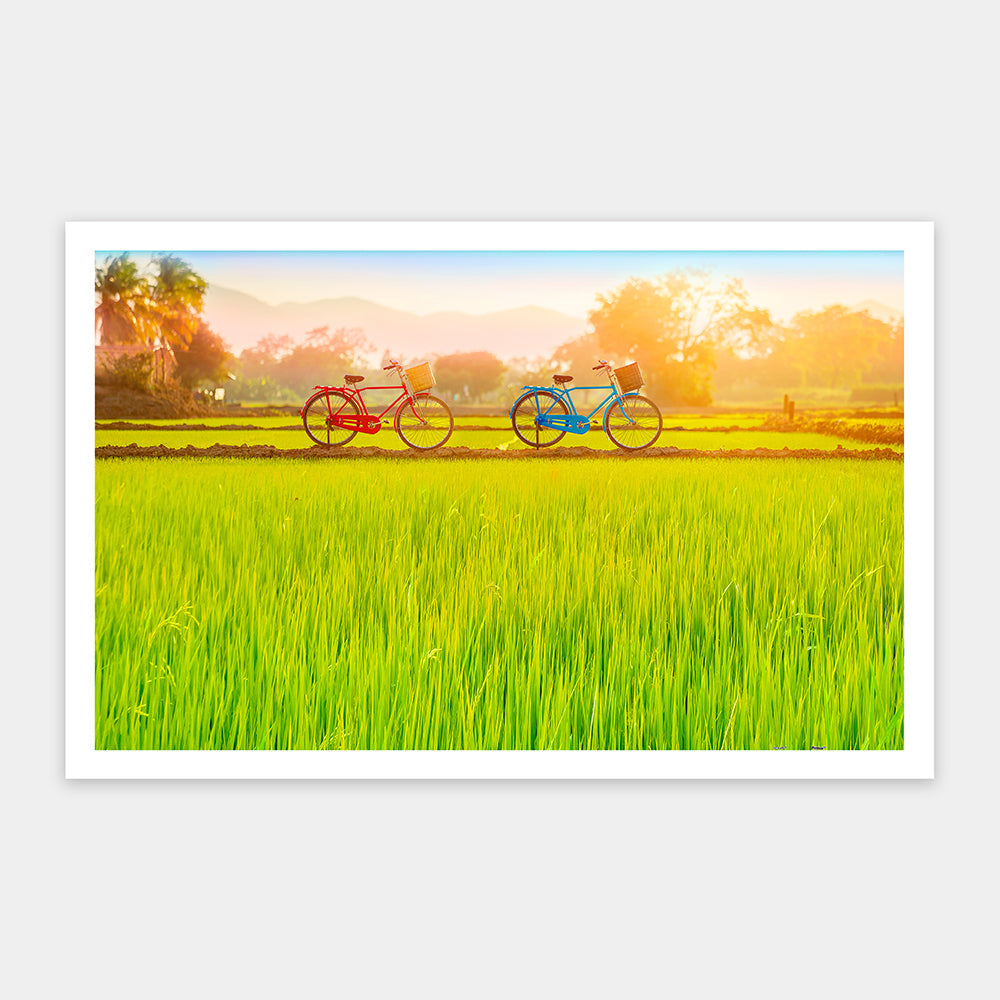 Pintoo H2648 Bicycle Trip Collection - Sun-kissed Green Fields - 1000 Piece Jigsaw Puzzle