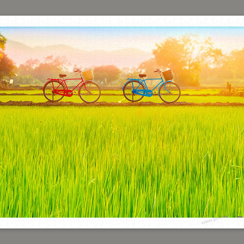 Pintoo H2648 Bicycle Trip Collection - Sun-kissed Green Fields - 1000 Piece Jigsaw Puzzle