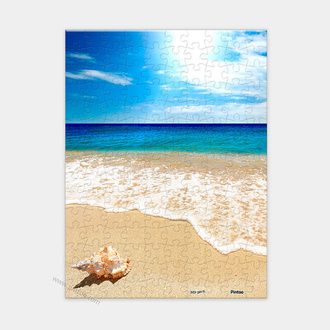 Seashell on the Beach - 150 Piece XS Jigsaw Puzzle