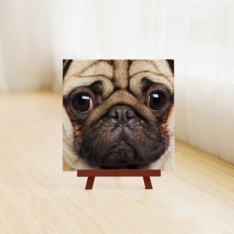 Close Up of Pug - 256 Piece XS Jigsaw Puzzle