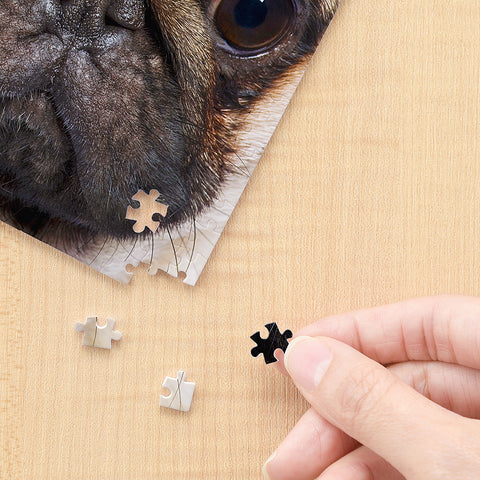 Close Up of Pug - 256 Piece XS Jigsaw Puzzle