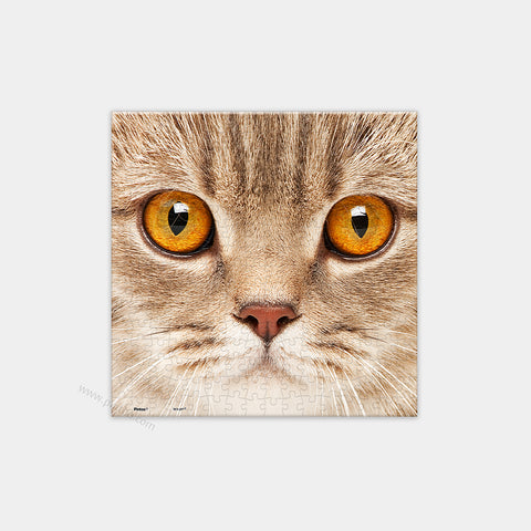 Close Up of Cat - 256 Piece XS Jigsaw Puzzle