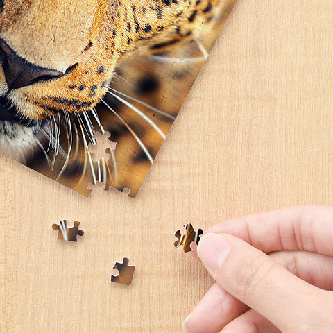 Close Up of Leopard - 256 Piece XS Jigsaw Puzzle