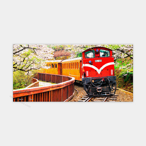 Forest Train in Alishan National Park - 253 Piece XS Jigsaw Puzzle