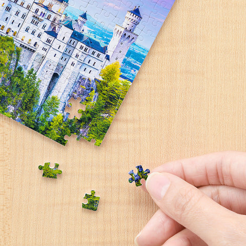 Neuschwanstein Castle, Germany - 368 Piece XS Jigsaw Puzzle