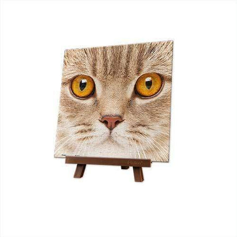 Close Up of Cat - 256 Piece XS Jigsaw Puzzle