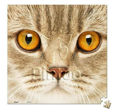 Close Up of Cat - 256 Piece XS Jigsaw Puzzle